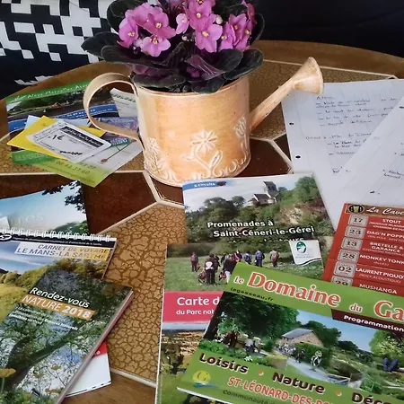 De Charme Renove Avec Cheminee, Terrasse Et Proche Randonnees - Capacite 13 Pers. - Fr-1-410-179 *