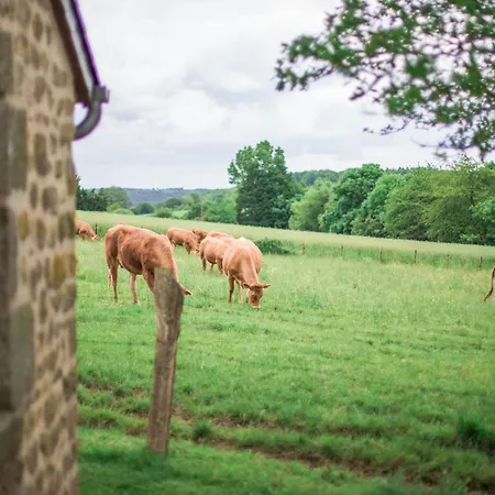 De Charme Renove Avec Cheminee, Terrasse Et Proche Randonnees - Capacite 13 Pers. - Fr-1-410-179 Tatil Evi Saint-Léonard-des-Bois