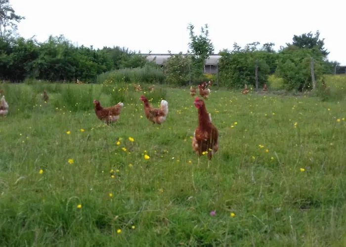 Сasa de vacaciones Saint-léonard-des-bois, 5 Pièces, 7 Personnes - Fr-1-410-179 Saint-Léonard-des-Bois