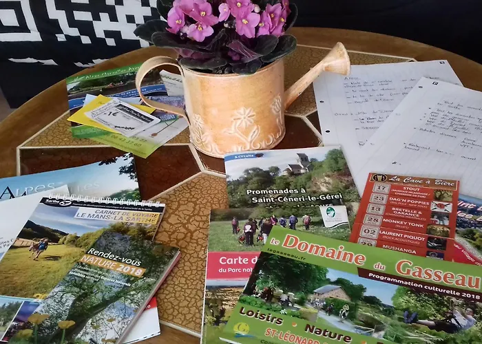 Saint-léonard-des-bois, 5 Pièces, 7 Personnes - Fr-1-410-179 *