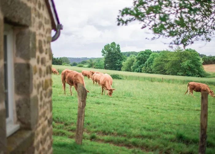 Saint-léonard-des-bois, 5 Pièces, 7 Personnes - Fr-1-410-179 Сasa de vacaciones Saint-Léonard-des-Bois